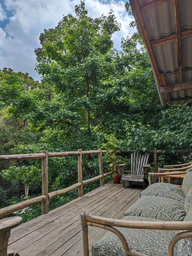 Middle House Villa Campos do Jordao Luaran gambar
